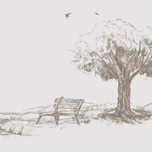 Papier peint esquisse romantique arbre et banc champêtre