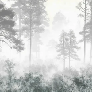 Papier Peint Forêt Brumeuse Noir et Blanc Nature Zen