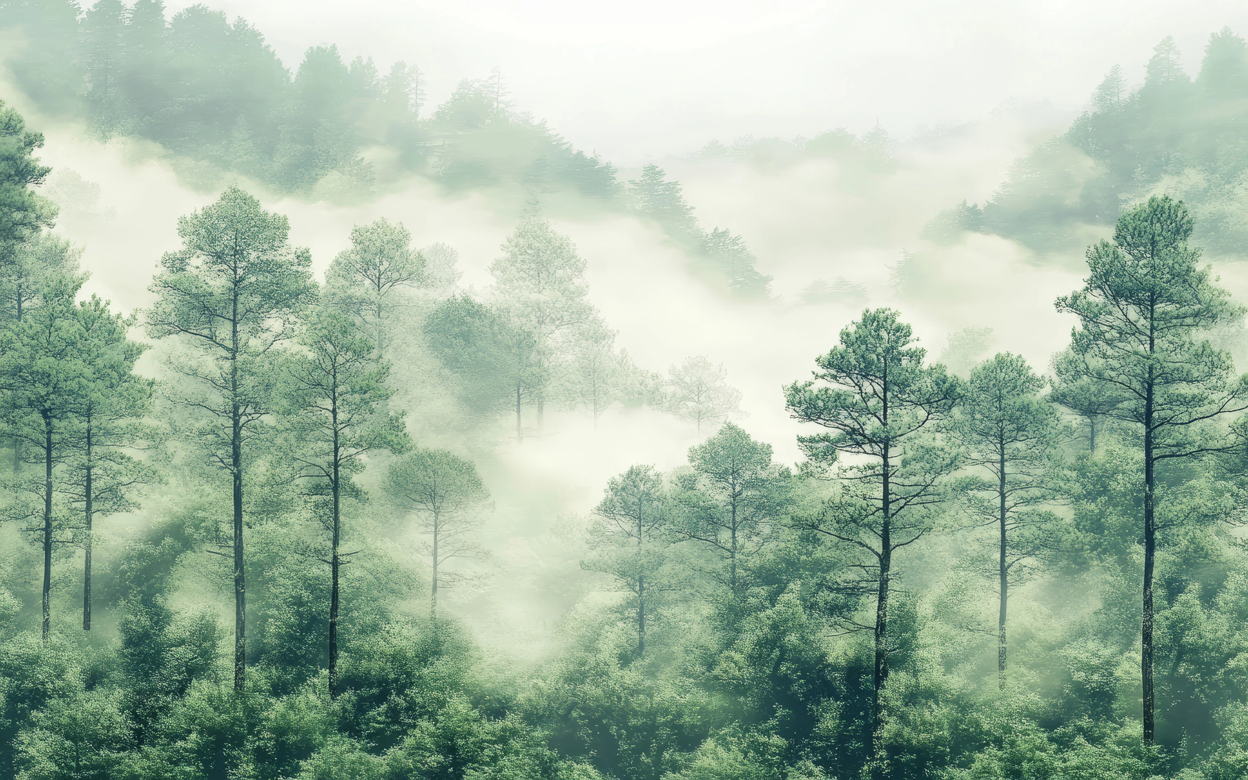 Papier peint forêt brume matinale paysage naturel apaisant