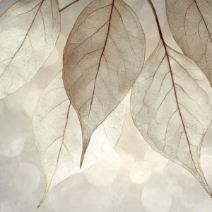 Papier peint feuilles translucides effet squelette beige naturel