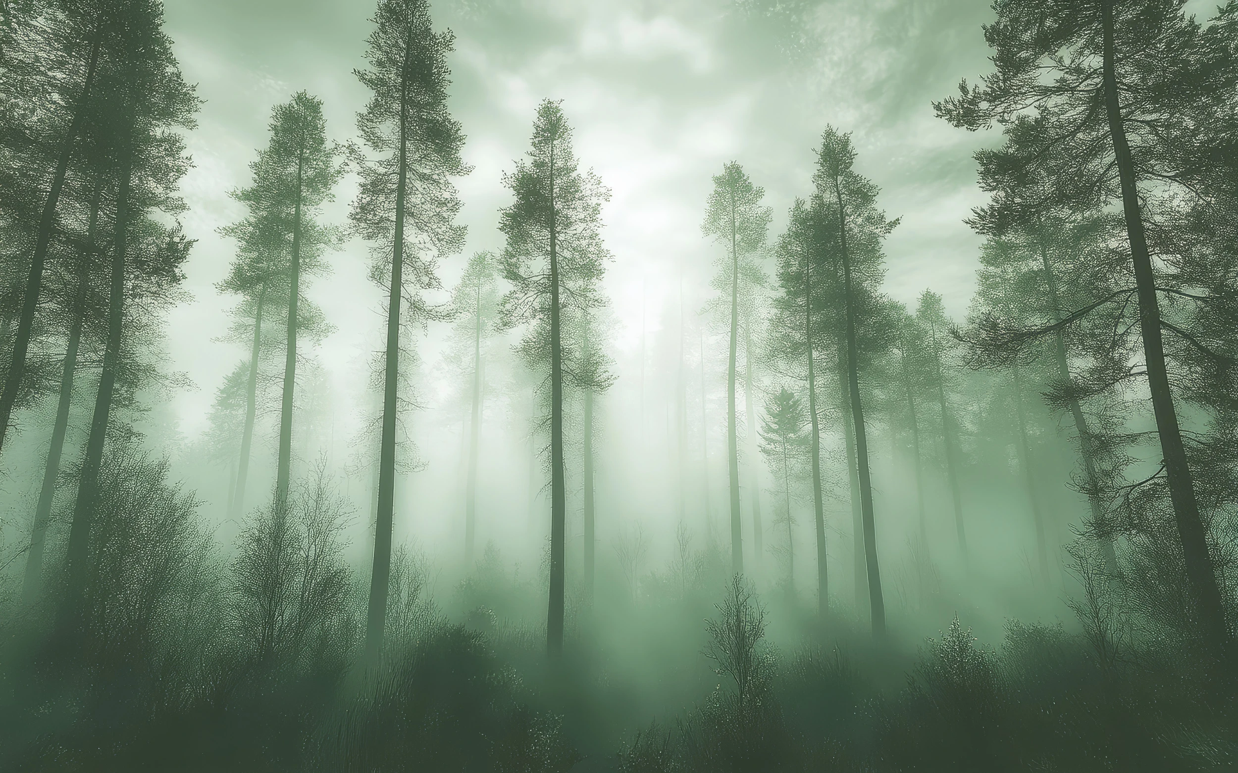 Papier Peint Forêt Mystérieuse aux Rayons de Lumière Verte