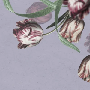 Papier peint tulipes vintage sur fond mauve délicat et romantique