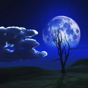 Paysage Nocturne Mystique avec Lune Bleue et Arbre Silhouette
