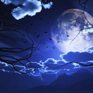 Papier peint mystérieux nuit étoilée pleine lune branches gothiques