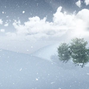 Paysage hivernal enneigé avec sapins sous ciel nuageux