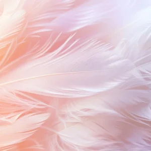 Papier Peint Plumes Douces Dégradé Rose Pêche Violet Pastel