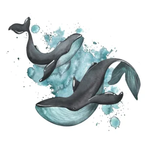 Papier Peint Baleines Aquarelle Splash Turquoise Océan Décoratif