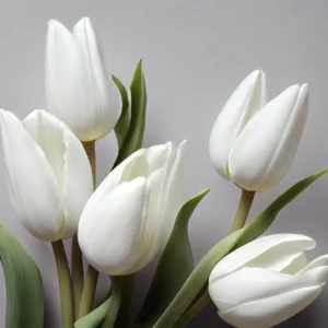 Papier peint tulipes blanches élégantes sur fond gris moderne