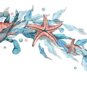 Papier peint aquarelle faune marine crabe étoile de mer