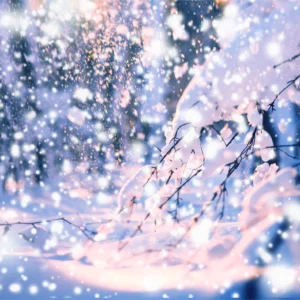 Papier Peint Branches Hivernales aux Reflets Dorés et Neige