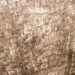 Papier Peint Texture Écorce Naturelle Beige Rustique