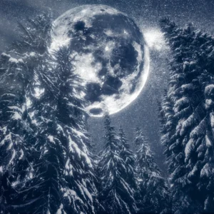 Papier Peint Forêt Enneigée sous Pleine Lune Mystique Bleue