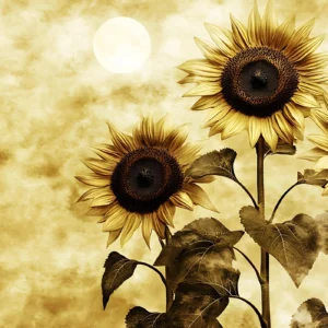 Papier Peint Tournesols Dorés Style Vintage Ambiance Chaleureuse