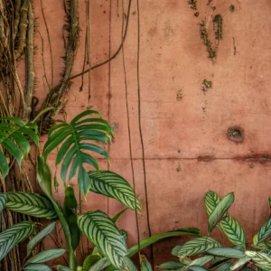 Papier peint tropical mur brique rose avec végétation luxuriante verte