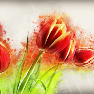 Papier Peint Tulipes Rouges Artistique Style Aquarelle Moderne