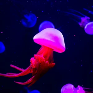 Méduses Luminescentes dans l'Océan Profond Électrique Futuriste