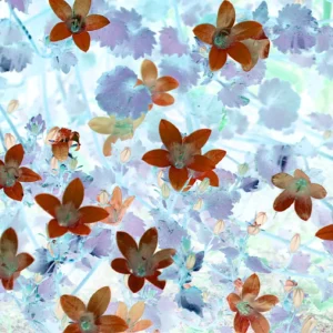 Papier peint artistique fleurs aquarelle rouge sur fond pastel bleu