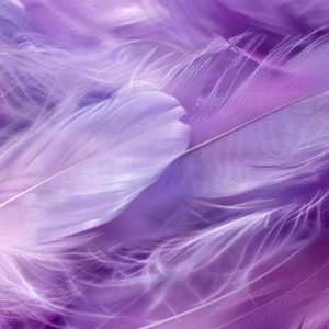 Papier Peint Plumes Violettes Texture Douce et Délicate