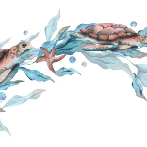 Papier Peint Aquarelle Tortues Marines et Étoiles de Mer Océan