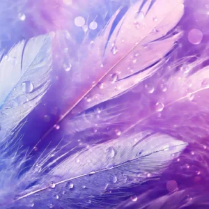 Papier Peint Plumes Éthérées Dégradé Violet Rose Cosmique