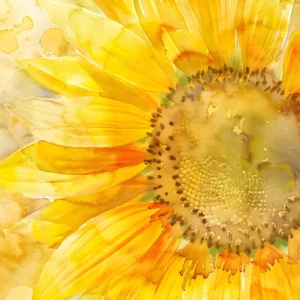 Papier peint Tournesol Aquarelle Jaune Doré Style Artistique Nature