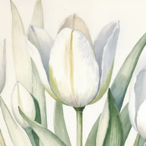 Papier Peint Tulipes Blanches Aquarelle Élégante Florale Romantique