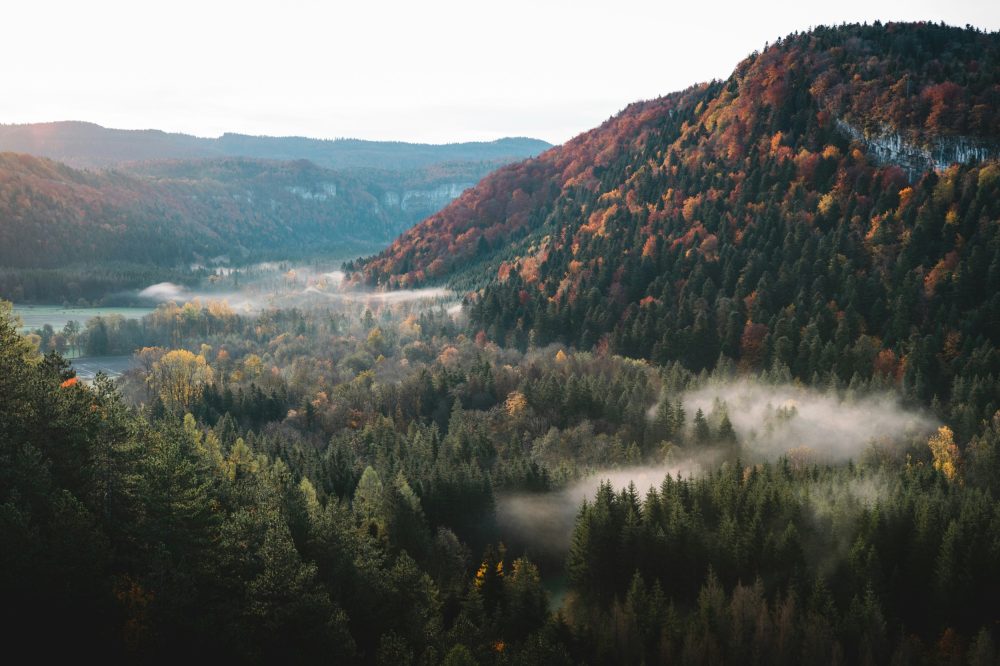 Paysage Montagneux d'Automne avec Brume et Forêt Colorée