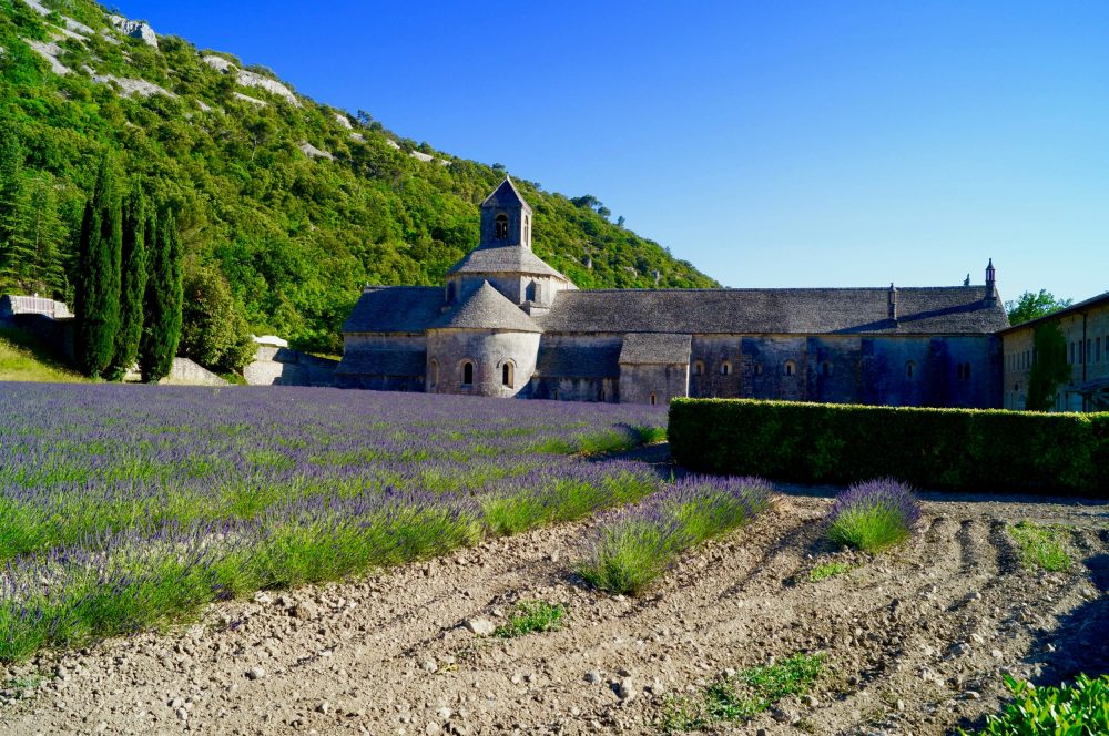 Abbaye Provençale avec Champs de Lavande et Paysage Montagneux